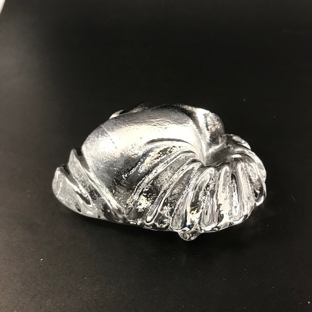 SHIRLEY ELFORD Seashell Glass Paperweight - SIGNED