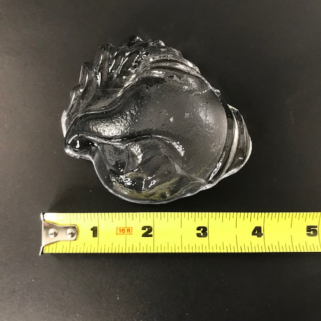 SHIRLEY ELFORD Seashell Glass Paperweight - SIGNED