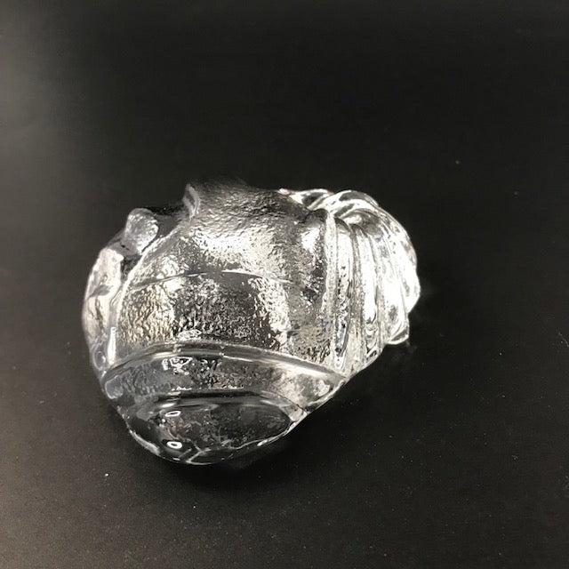 SHIRLEY ELFORD Seashell Glass Paperweight - SIGNED