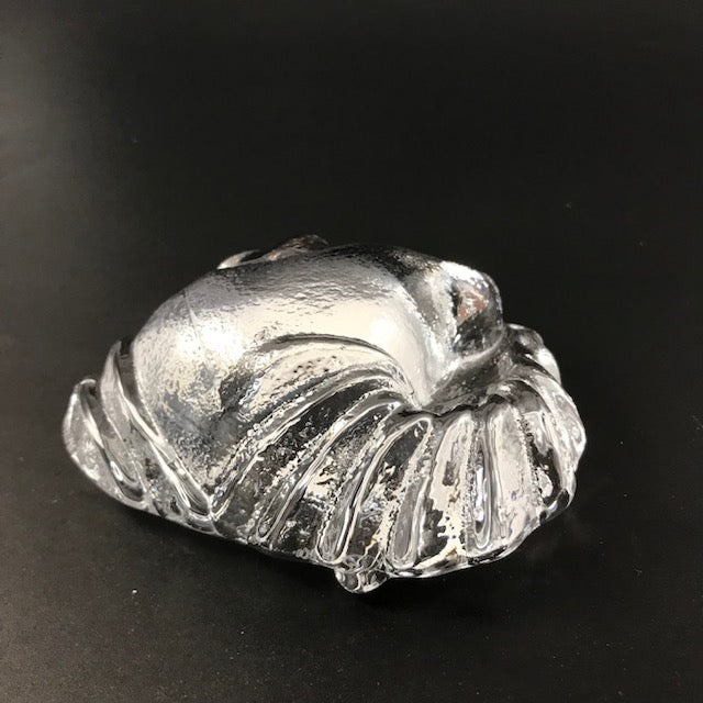 SHIRLEY ELFORD Seashell Glass Paperweight - SIGNED