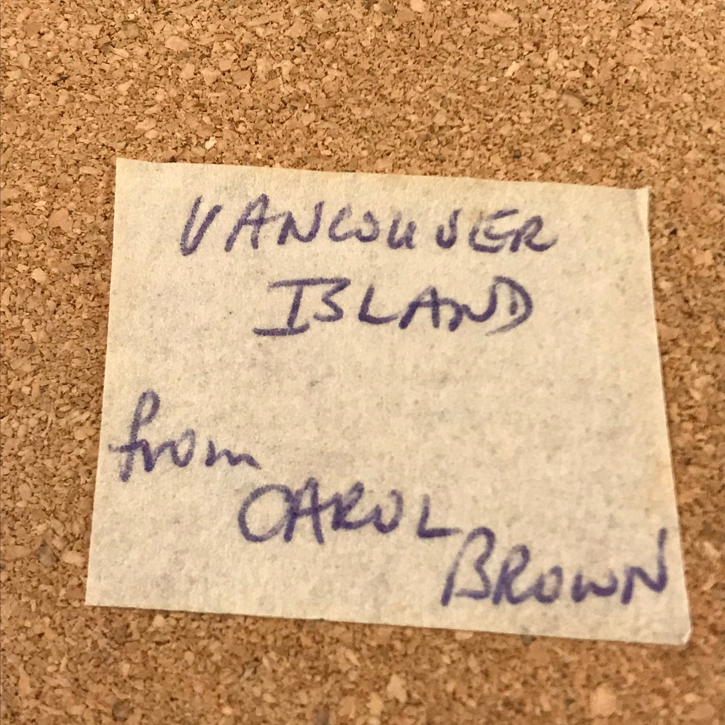 Island Art Indigenous Spawning Salmon Ceramic Tile - Artist Signed Joe Wilson