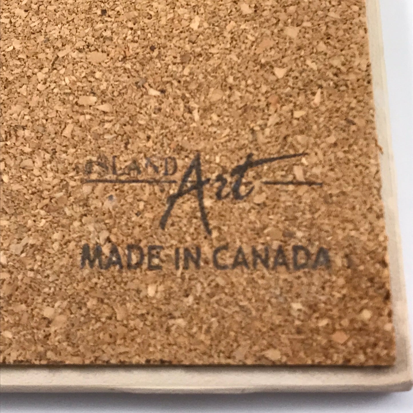 Island Art Indigenous Spawning Salmon Ceramic Tile - Artist Signed Joe Wilson