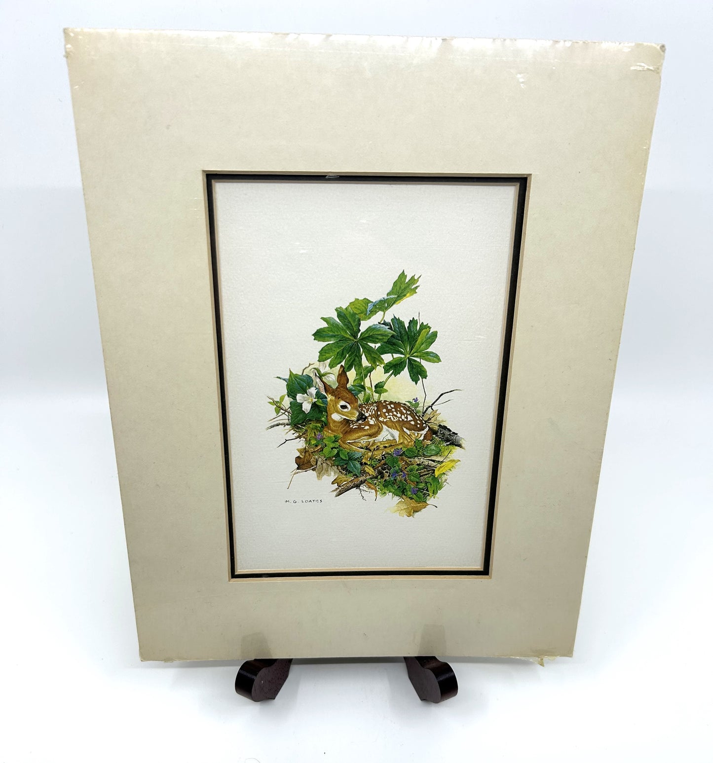 Glen Loates Fawn /Deer Resting in Foliage Print - Matted and Sealed Signed by Artist