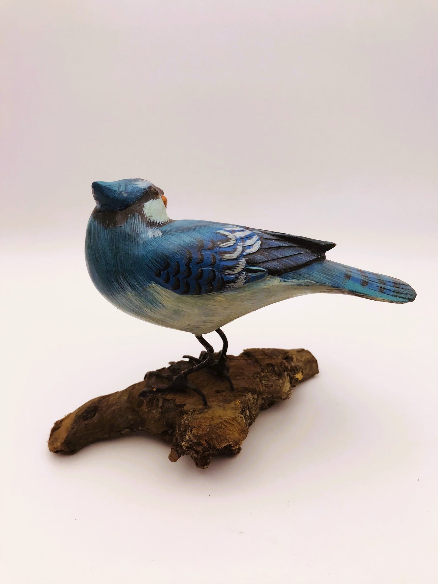 Wood Carved Hand Painted Blue Jay Bird Perched on Driftwood