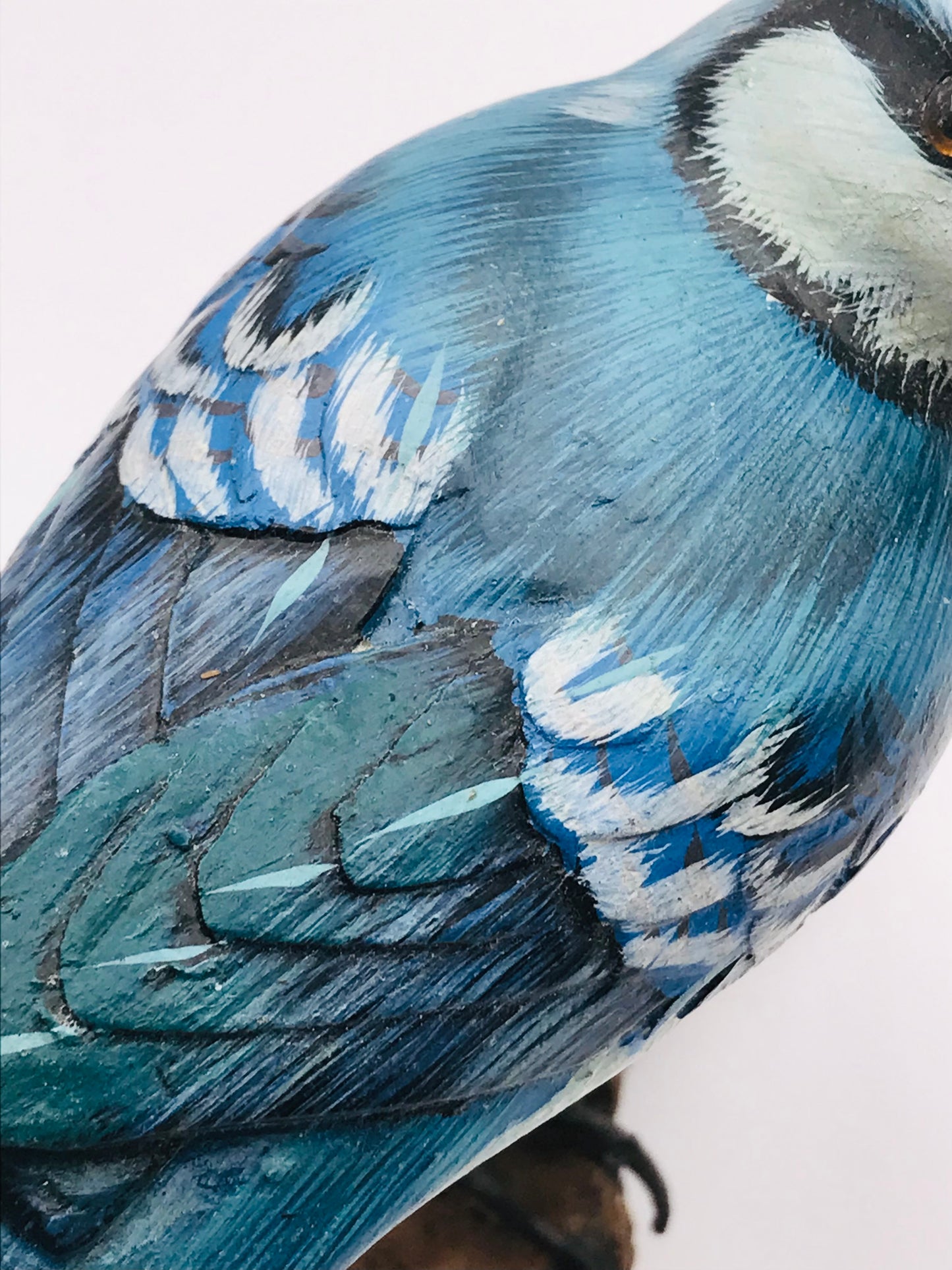 Wood Carved Hand Painted Blue Jay Bird Perched on Driftwood