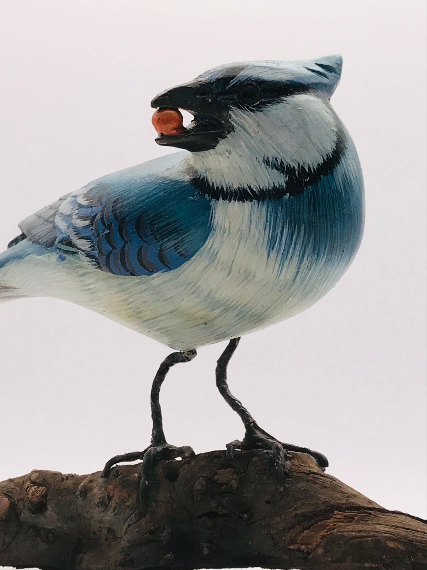Wood Carved Hand Painted Blue Jay Bird Perched on Driftwood