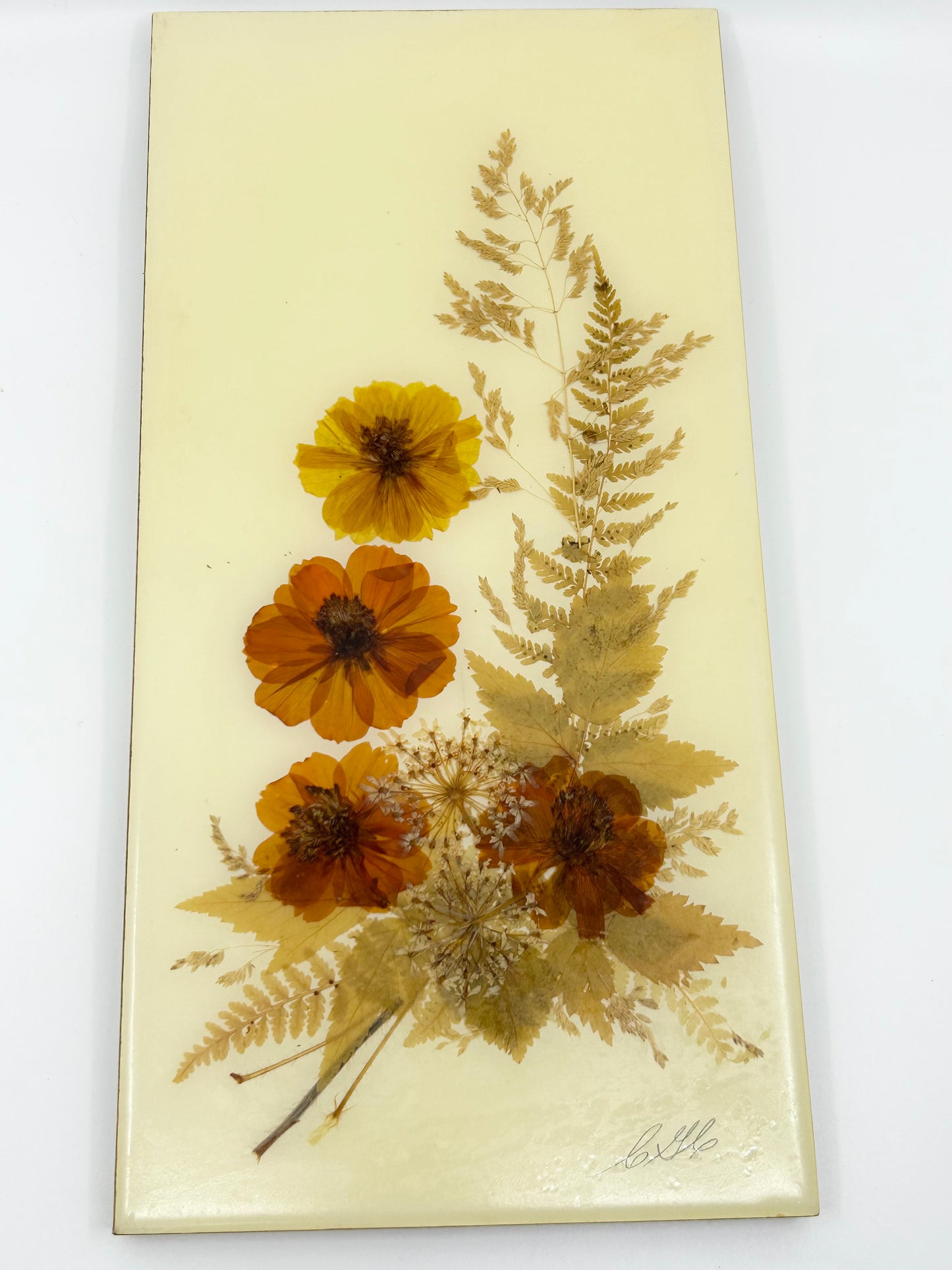 Country Girl Creations Vintage Handmade Pressed Preserved Leaves and Flowers Plaques - Signed by the Artist