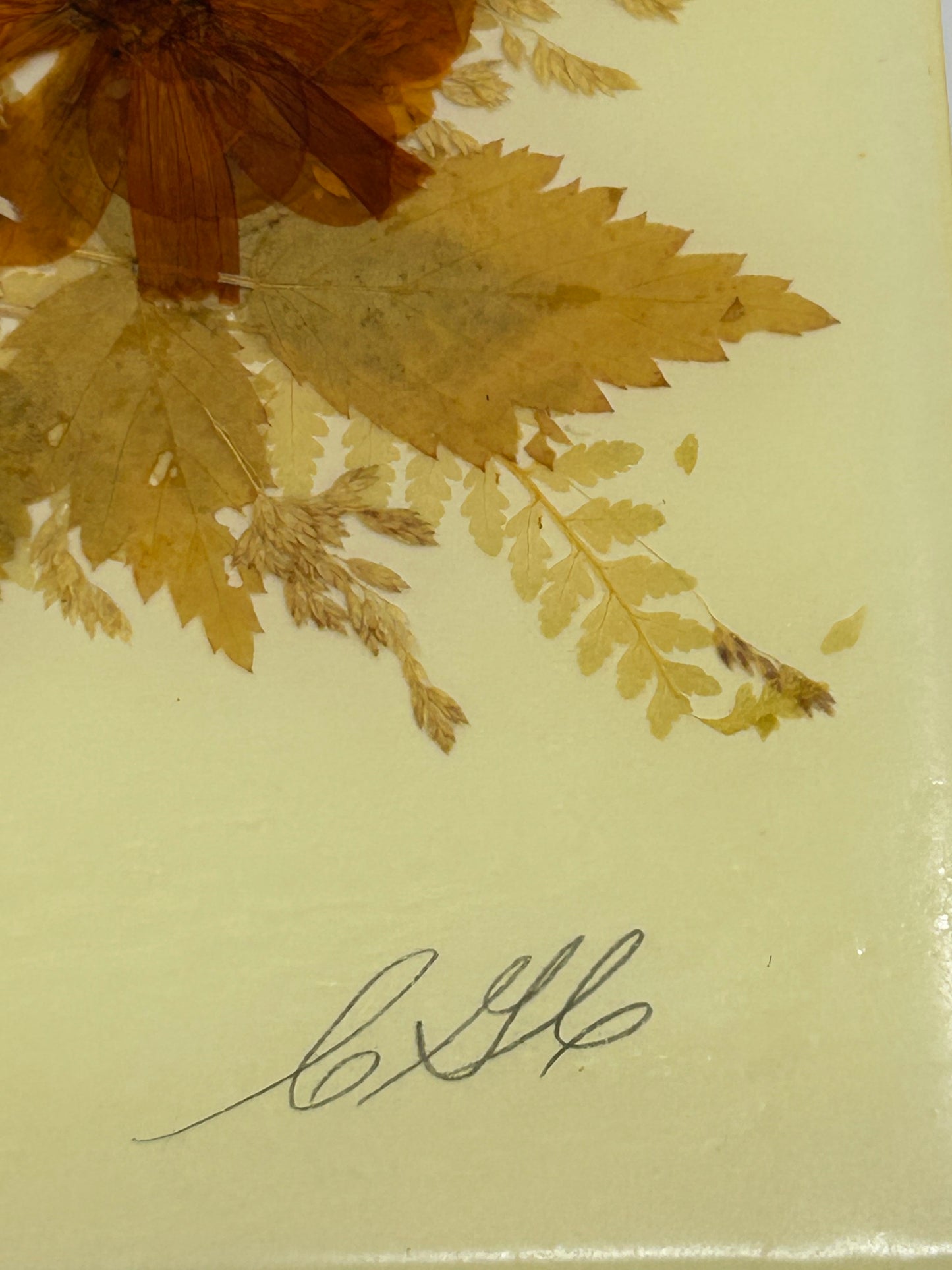 Country Girl Creations Vintage Handmade Pressed Preserved Leaves and Flowers Plaques - Signed by the Artist