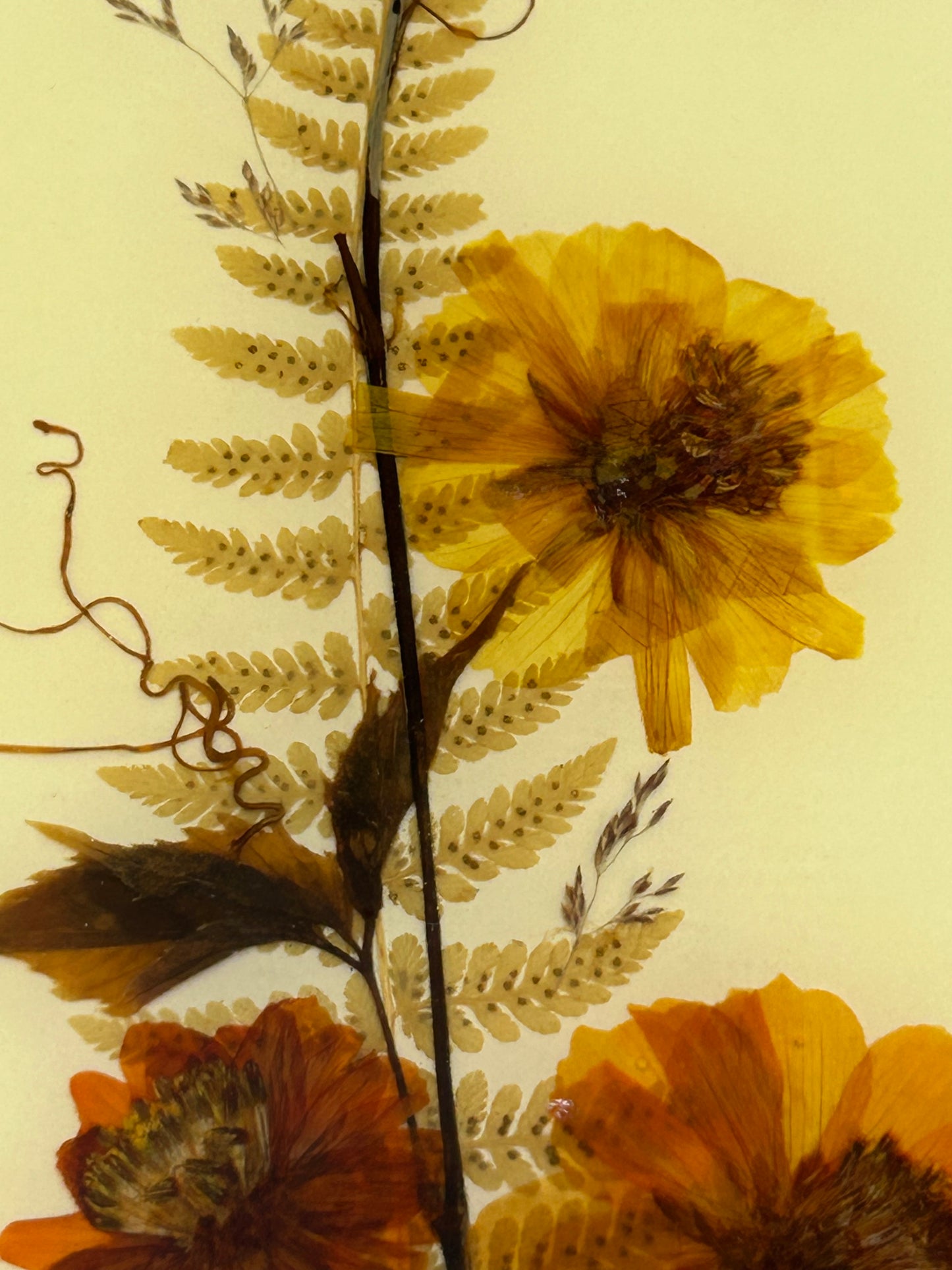 Country Girl Creations Vintage Handmade Pressed Preserved Leaves and Flowers Plaques - Signed by the Artist