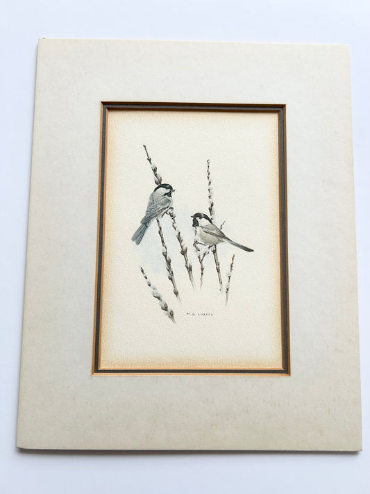 Glen Loates Black Capped Chickadees w/Pussy Willows Print - Signed by the Artist